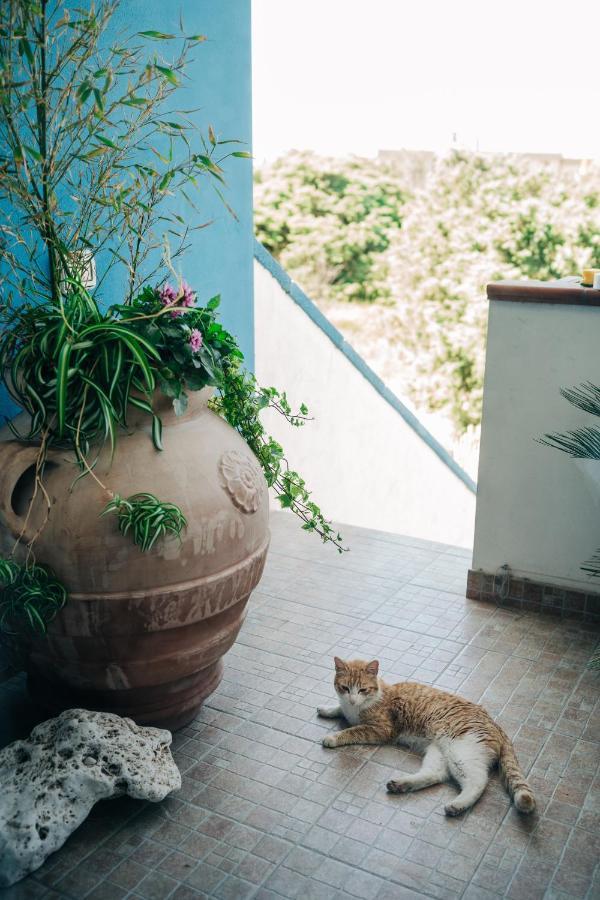 Bed and Breakfast Juniper Bay Portoscuso Exterior foto