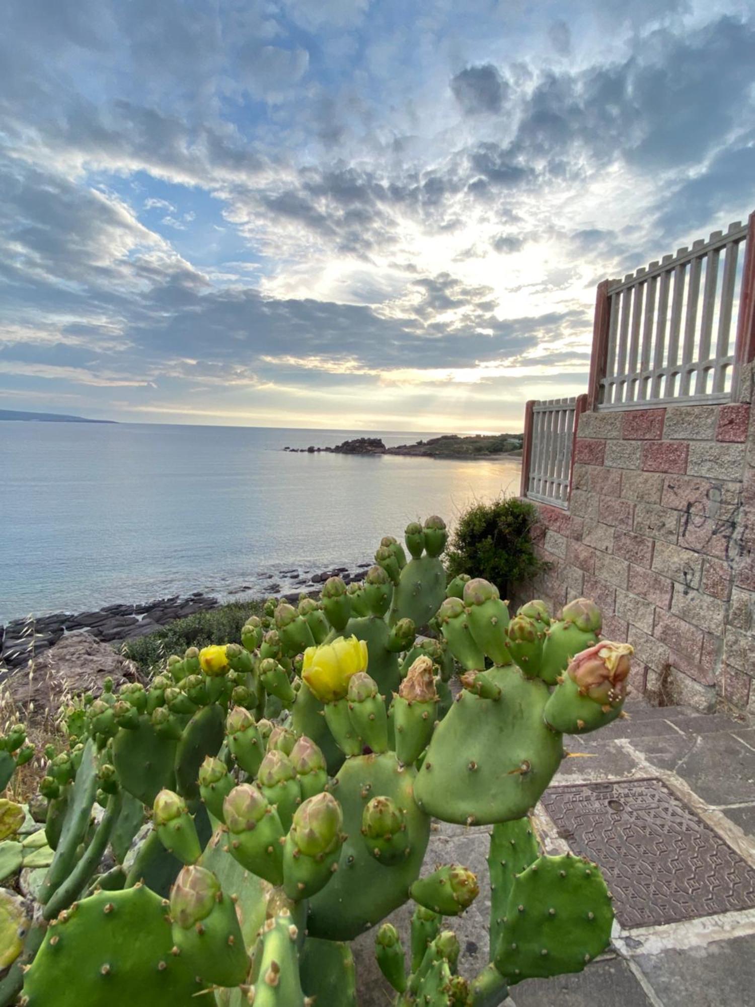 Bed and Breakfast Juniper Bay Portoscuso Exterior foto